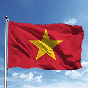 Vietnamca